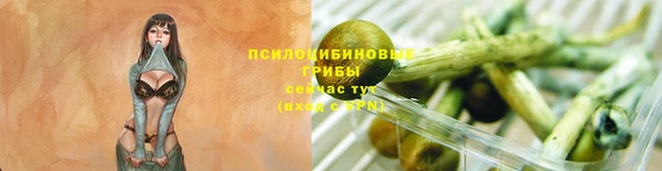 скорость Арсеньев
